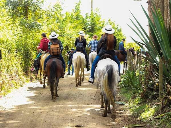 Сasa de vacaciones Casa En Reserva Natural Cerca Del Aeropuerto Medellin